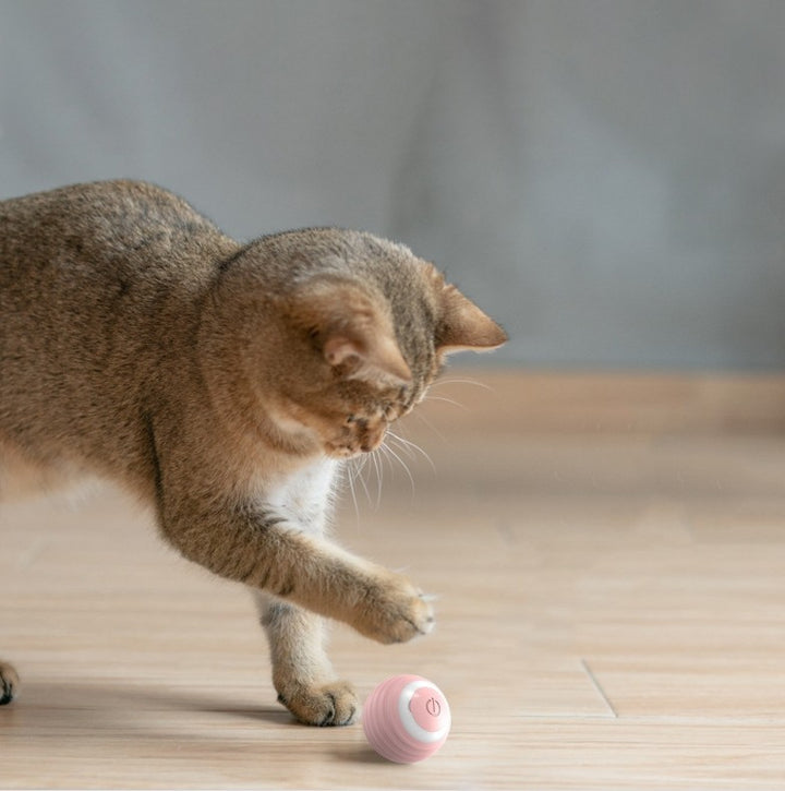 Katzenspielball